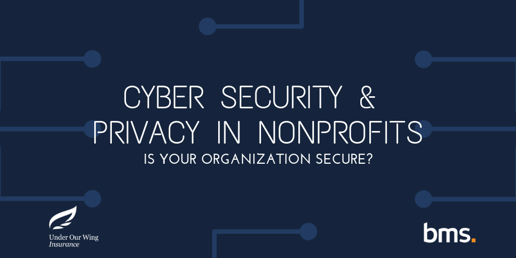 Cyber Security & Privacy in Nonprofits – Is your Organization Secure? by BMS Group