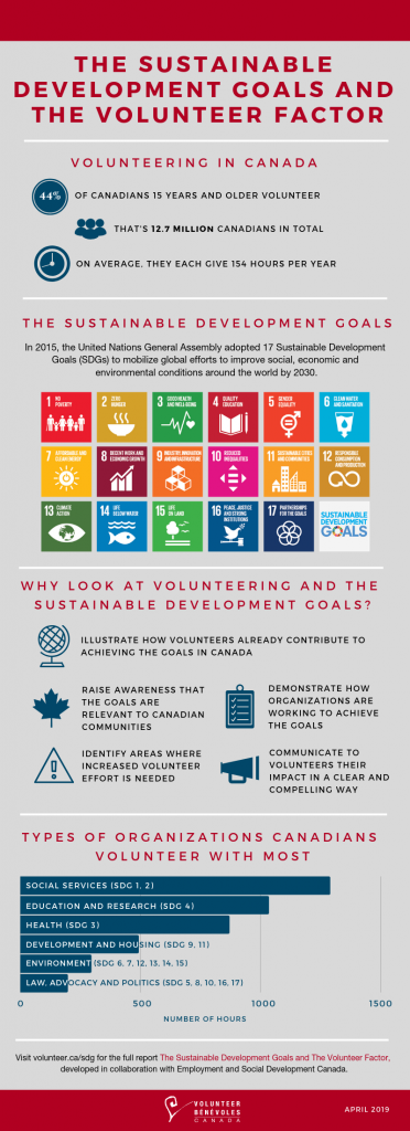 Rising to the Challenge: Volunteering and the Sustainable Development ...